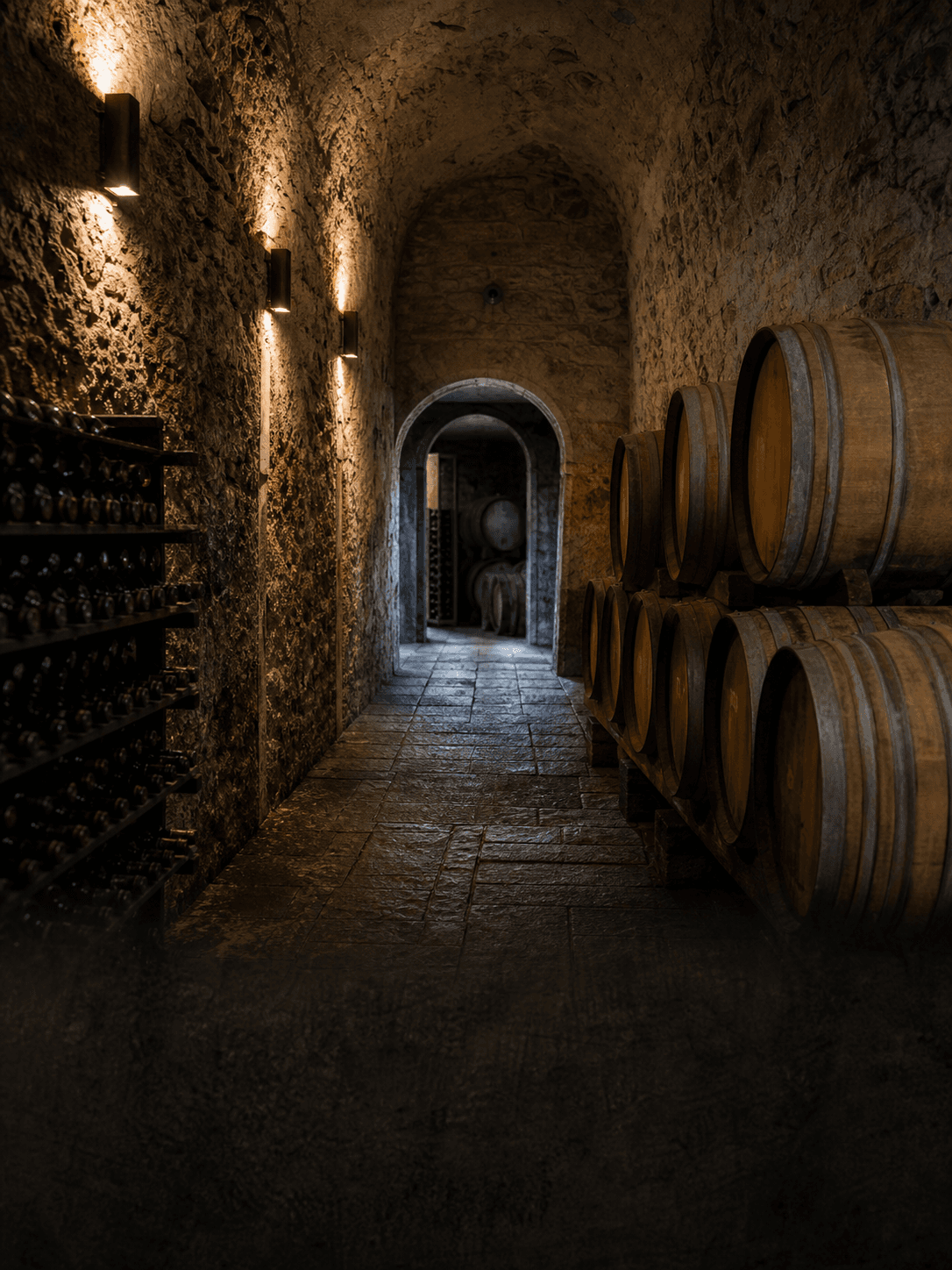 Down in the Cellar